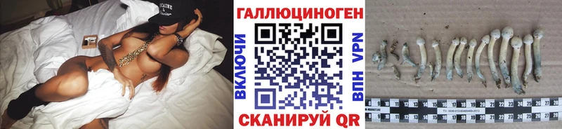 Псилоцибиновые грибы прущие грибы Ейск