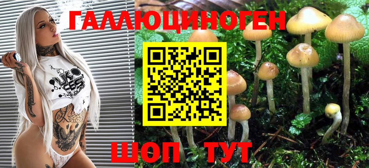 Галлюциногенные грибы мухоморы  Галлюциногенные грибы прущие грибы  Ейск 