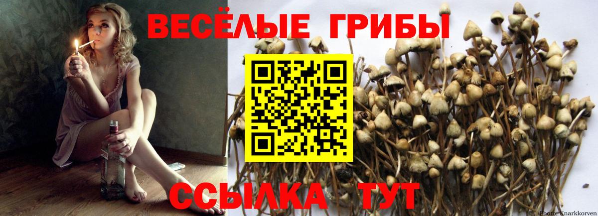 Галлюциногенные грибы мухоморы Ейск