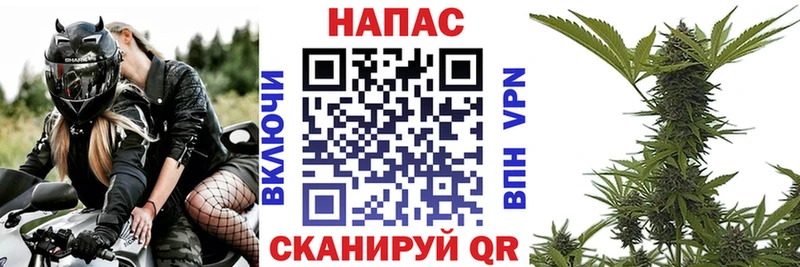 Конопля OG Kush  Ейск 